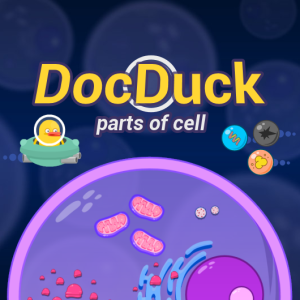 Practice: Cells - Free Games and Assessments - Legends of Learning