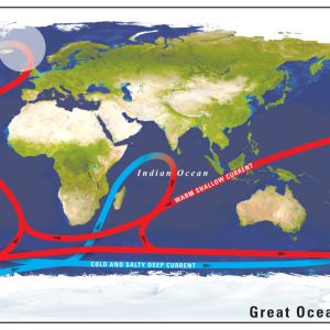 Practice: Factors Affecting Weather and Climate Conditions 7.E.1.5 ...