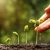 Topic image: Plant Growth