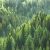 Topic image: Renewable and Nonrenewable Resources