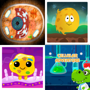 Student Lesson: Structures and Functions of Plant and Animal Cells 7.L ...