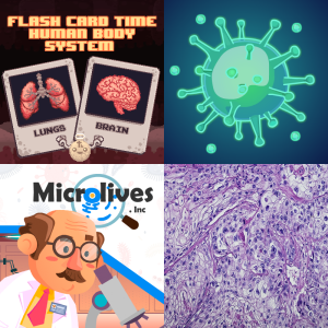 Game Based Learning: Multicellular Organisms and their Subsystems LS.3a ...