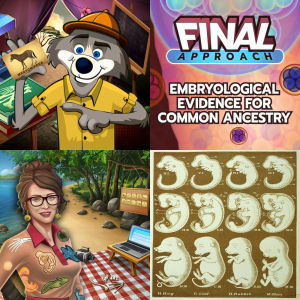 Worksheet: Embryological Evidence for Common Ancestry MS LS4A c Free