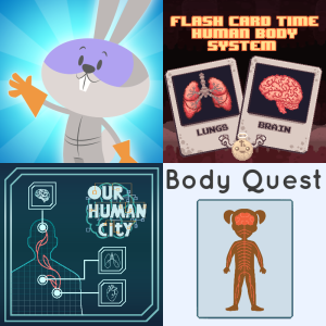 Game Based Learning: Human Body Systems 7.12B - Free Games and ...