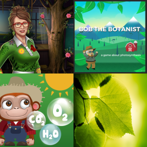 Free Homework Prep: photosynthesis review - Free Games and Assessments ...