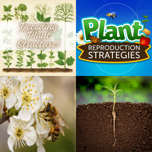 Lesson: Plant Structure and Function ES-LS1.A-1a - Free Games and ...