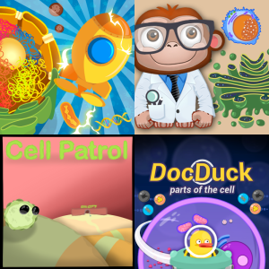 Practice: Cellular Homeostasis SC.6.L.14.3 - Free Educational Games ...