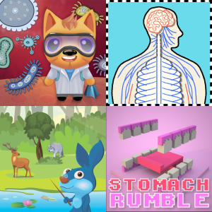 Free Educational Games: Human Body Systems S7L2.c - Free Games and ...