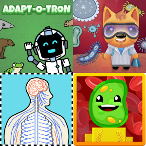 Free Educational Games: Human Body Systems 7.12B - Free Games and ...