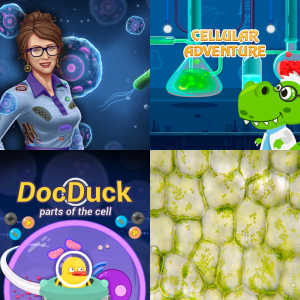 Lesson: Plant vs. Animal Cells SC.6.L.14.4 - Free Educational Games ...
