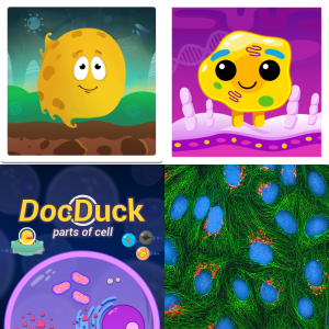 Free Homework Prep: Parts of the Cell 7.12D - Free Educational Games ...