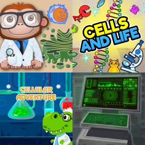 Practice: Levels of Organization: Cells to Organisms 7.12C - Free ...