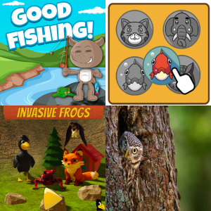 Game Based Learning: Populations, Communities, and Ecosystems 4.3a ...