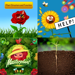 Practice: Plant Structure and Function ES-LS1.A-1a - Free Educational ...
