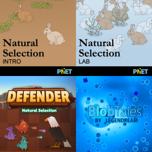 Worksheet: Natural Selection and Selective Breeding 7.11C - Free Games ...