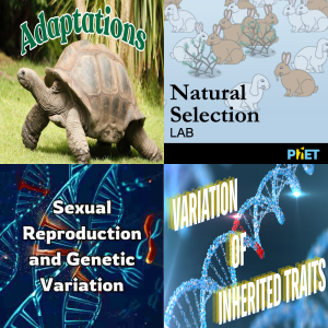 Game Based Learning: Heredity 8.13B - Free Games, Simulations ...