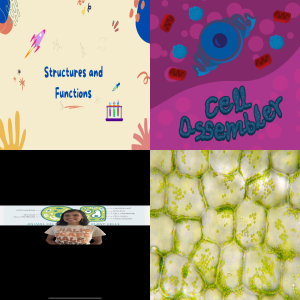 Free Educational Games: Parts of the Cell - Plants vs. Animals MS-LS1.A ...