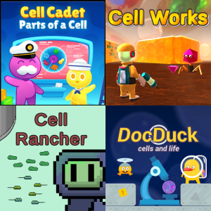 Practice: Cellular Homeostasis SC.6.L.14.3 - Free Educational Games ...