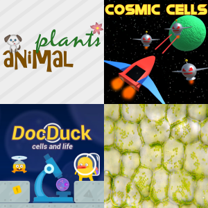 Free Educational Games: Cellular Homeostasis SC.6.L.14.3 - Free ...