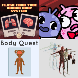 For Class: Human Body Systems 7.12B - Free Games and Assessments ...
