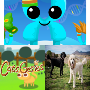 Free Educational Games: Variation of Inherited Traits MS-LS3.A-2 - Free ...