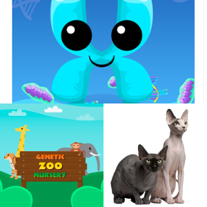 Game Based Learning: Heredity 7.14A - Free Games and Assessments ...