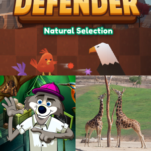 Game Based Learning: Natural Selection MS-LS4.B-1 - Free Games and ...