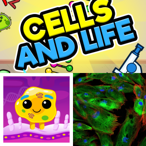Free Homework Prep: Cells and Life 6.12A - Free Educational Games ...