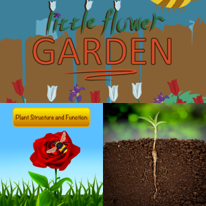 Practice: Plant Structures and their Function SC.3.L.14.1 - Free Games ...