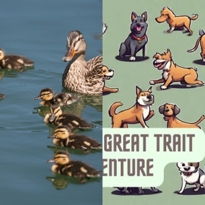 Teaching Plan: Heredity and Learning in Animal Behavior SC.4.L.16.3 ...