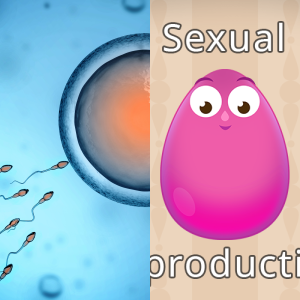 Free Lesson: Sexual Reproduction and Genetic Variation MS-LS3.B-1 ...