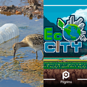 For Class: Effect of Pollution on the Environment S3L2.a - Free Games ...