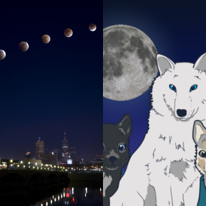 Teaching Plan: Phases of the Moon SC.4.E.5.2 - Free Games and ...