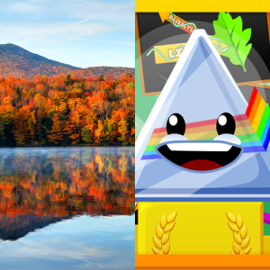 Lesson: Reflection, Absorption, and Transmission of Light - Free Games ...