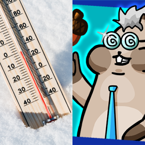 Student Lesson: Monday: Absolute Value Game and Questions - Free Games ...