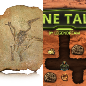 Teaching Plan: Fossils 5.9D - Free Games and Assessments - Legends of ...