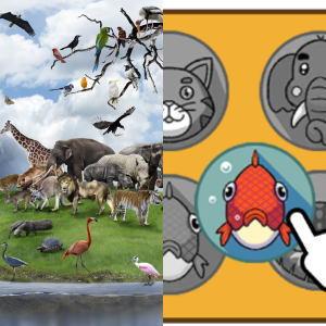 Teaching Plan: Animal Classification SC.3.L.15.1 - Free Games and ...