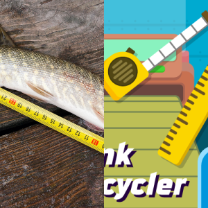 Game Based Learning: Measuring Length with Tools 2.MD.1 - Free Games ...