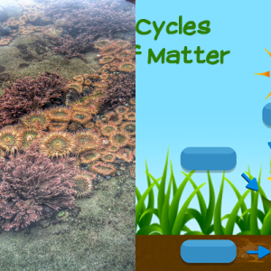 For Class: Aquatic Ecosystems 3.6a - Free Games and Assessments ...