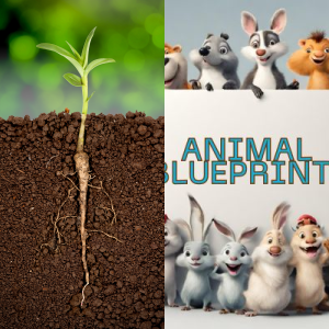 Lesson: Animal Blueprint - Free Games and Videos - Legends of Learning