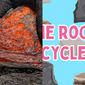 Game Based Learning: The Rock Cycle MS-RC - Free Games and Videos ...